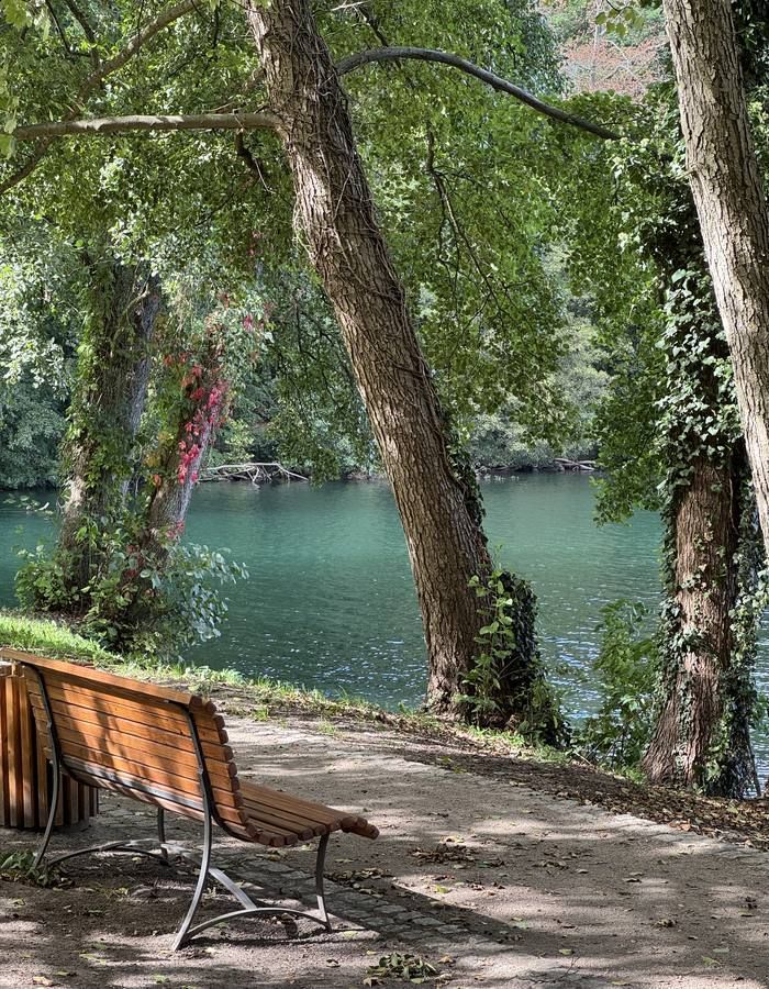 Ławka nad wodą w cieniu drzew