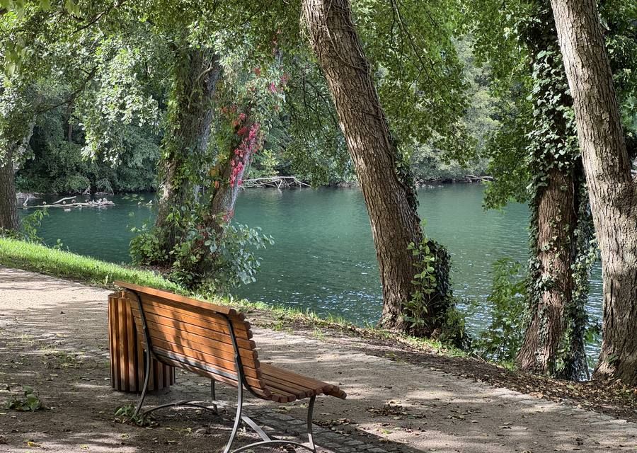 Ławka na brzegu Jeziora Trześniowskiego pod drzewami